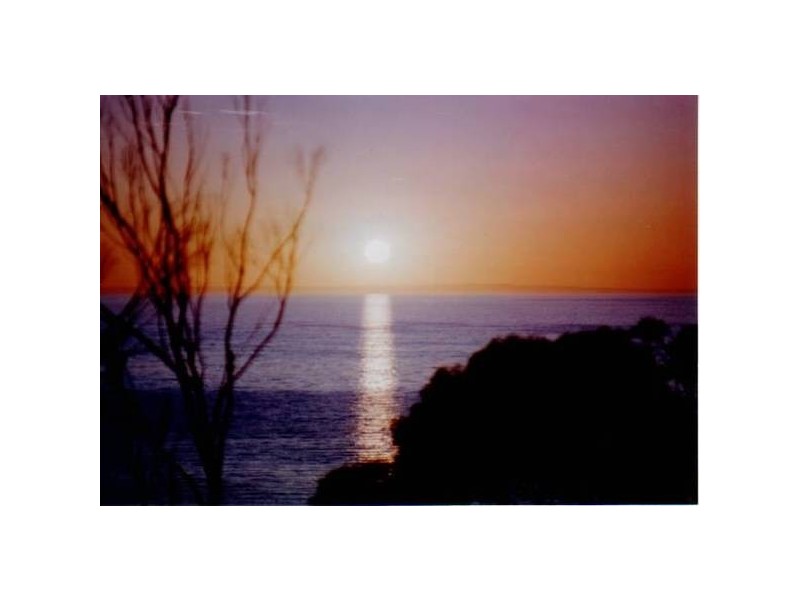 31-35 Main Coast Road, Pine Point SA 5571