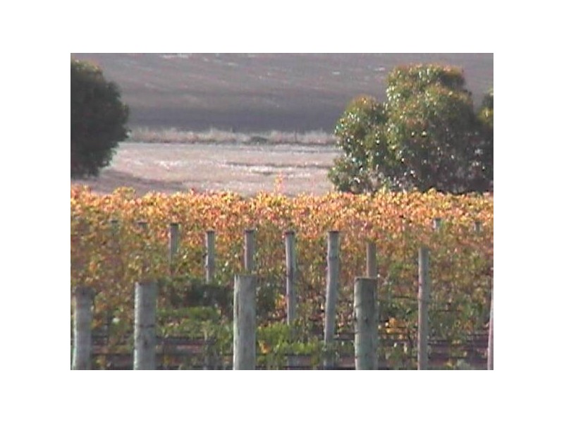 Lot 101 Hundred of Kilkerran, Maitland SA 5573