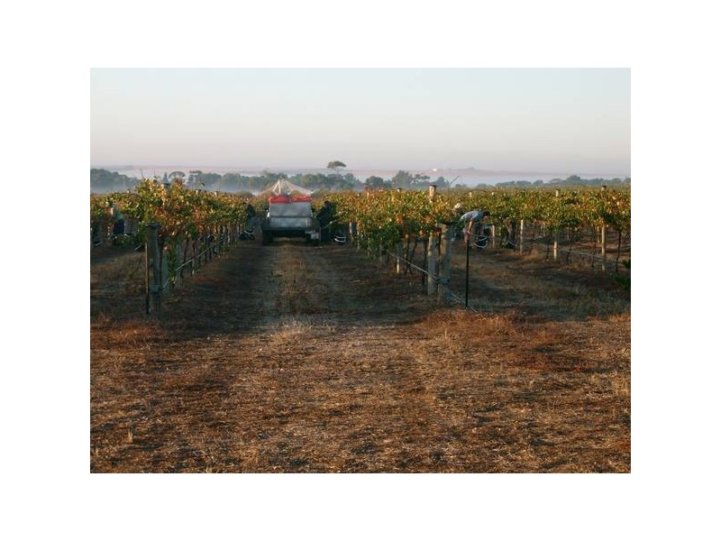 Lot 101 Hundred of Kilkerran, Maitland SA 5573