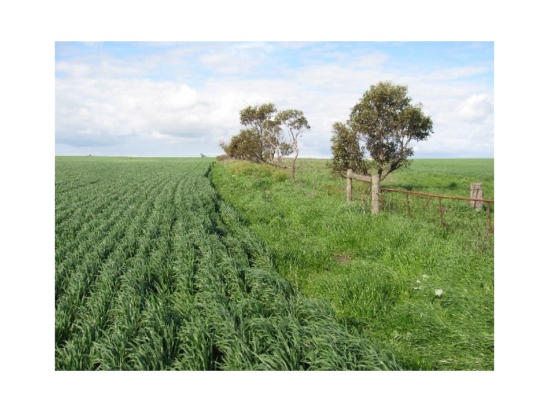 215,216 Hundred of Wauraltee, Maitland SA 5573