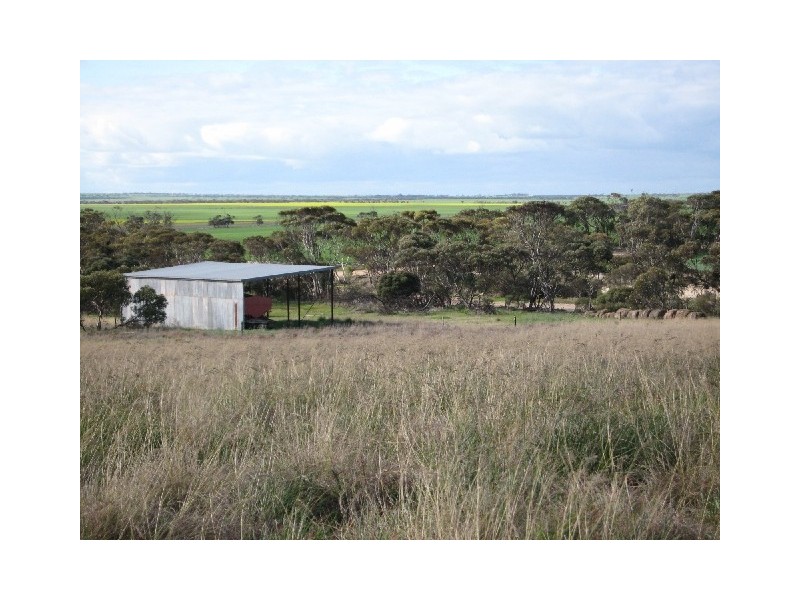 215,216 Hundred of Wauraltee, Maitland SA 5573