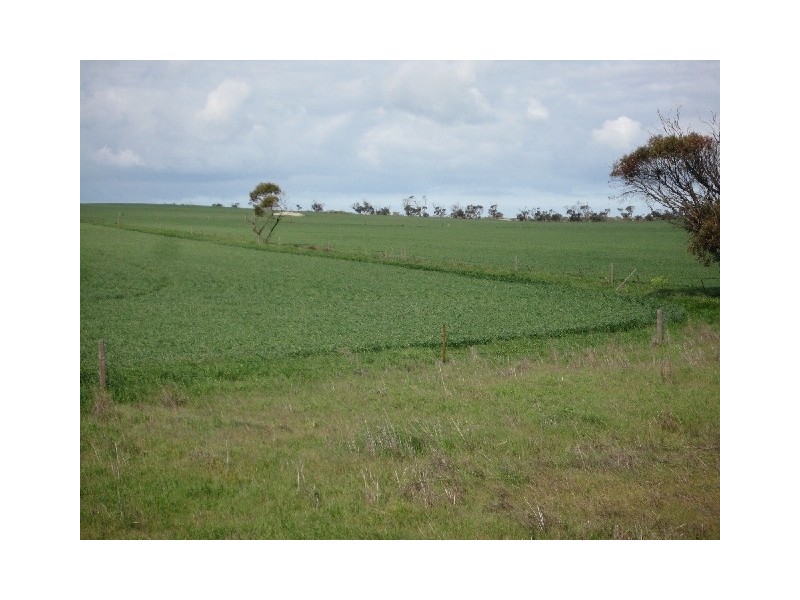 215,216 Hundred of Wauraltee, Maitland SA 5573