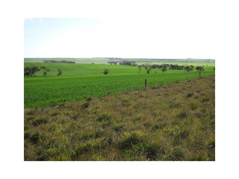 215,216 Hundred of Wauraltee, Maitland SA 5573