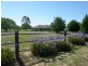 55 Shaws Road, Little River VIC 3211