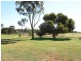 55 Shaws Road, Little River VIC 3211