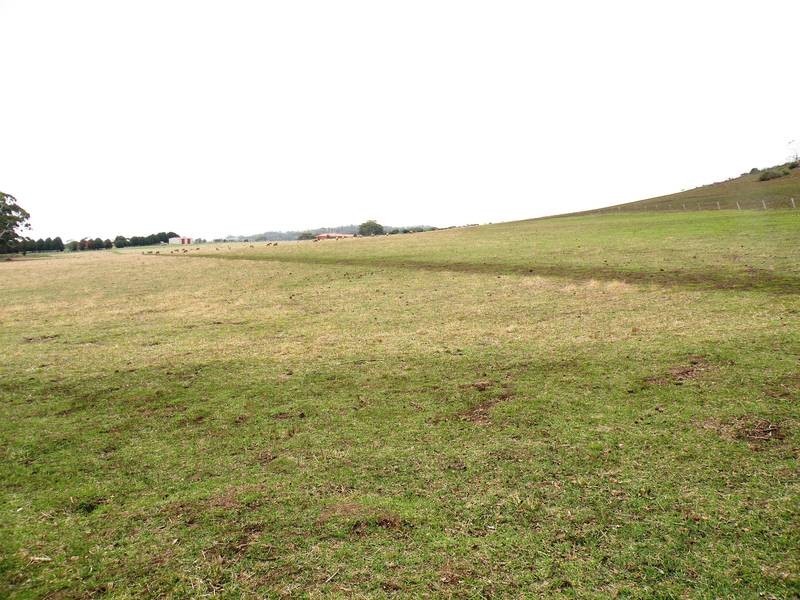 50 Staughton Vale Road, Anakie VIC 3221