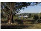 255 Staughtonvale Road, Anakie VIC 3221