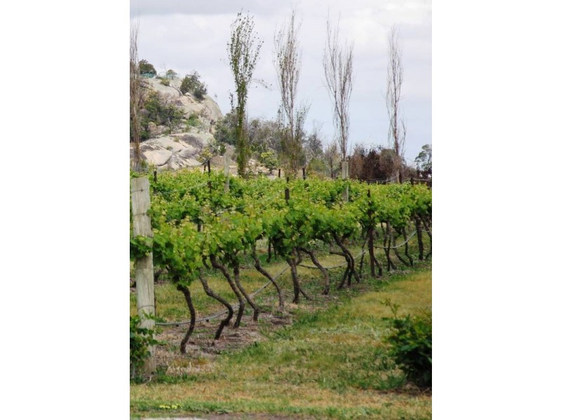 20 Staughton Vale Road, Anakie VIC 3221