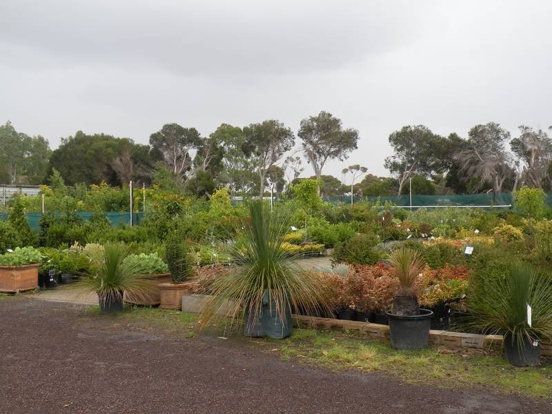 20 Coonawarra Drive, Lara VIC 3212