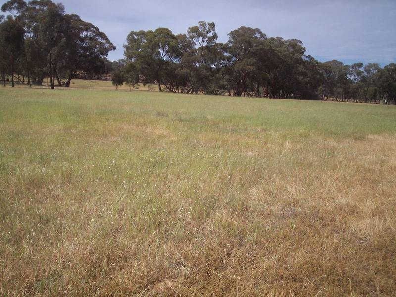 5K Blinkbonnie Road, St Arnaud VIC 3478