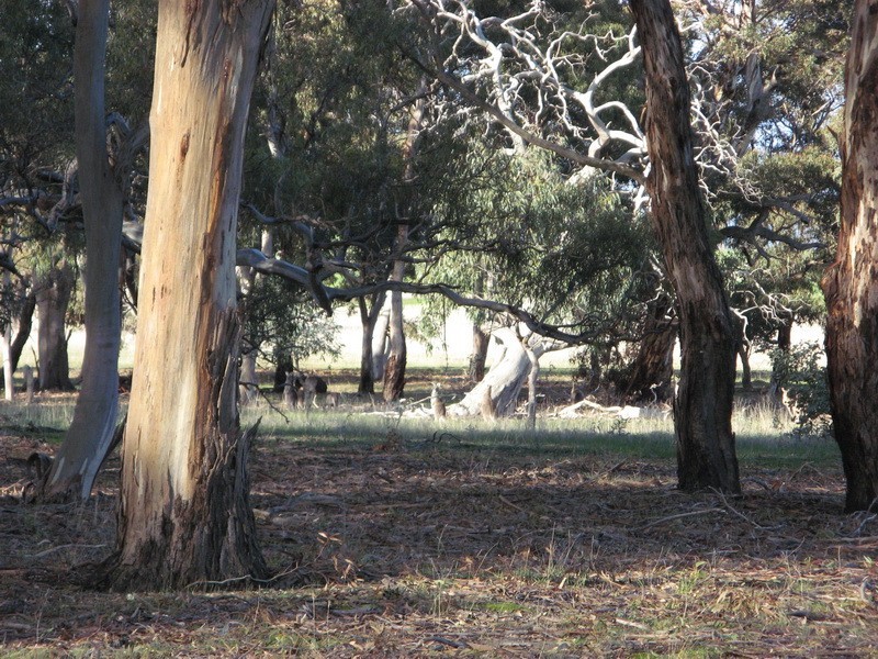 Lot 2, 2134 Anakie Ballan Road, Anakie VIC 3221