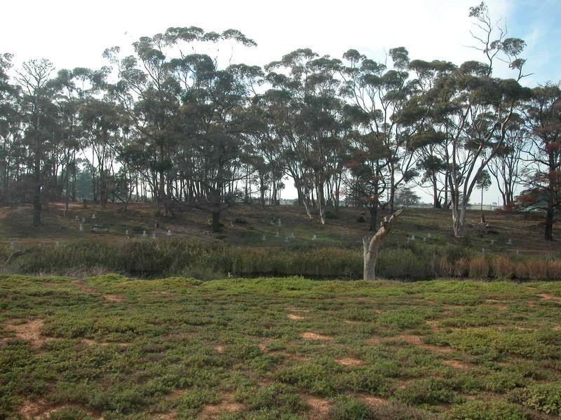 60 Robs Lane, Lara VIC 3212