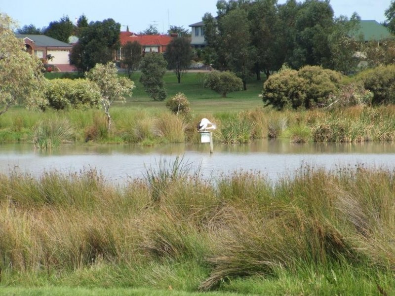 8 Hoffman Crt, Lara VIC 3212