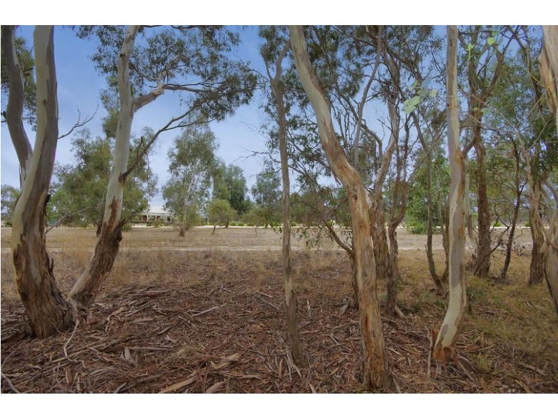 60 Mannagum Place, Anakie VIC 3221