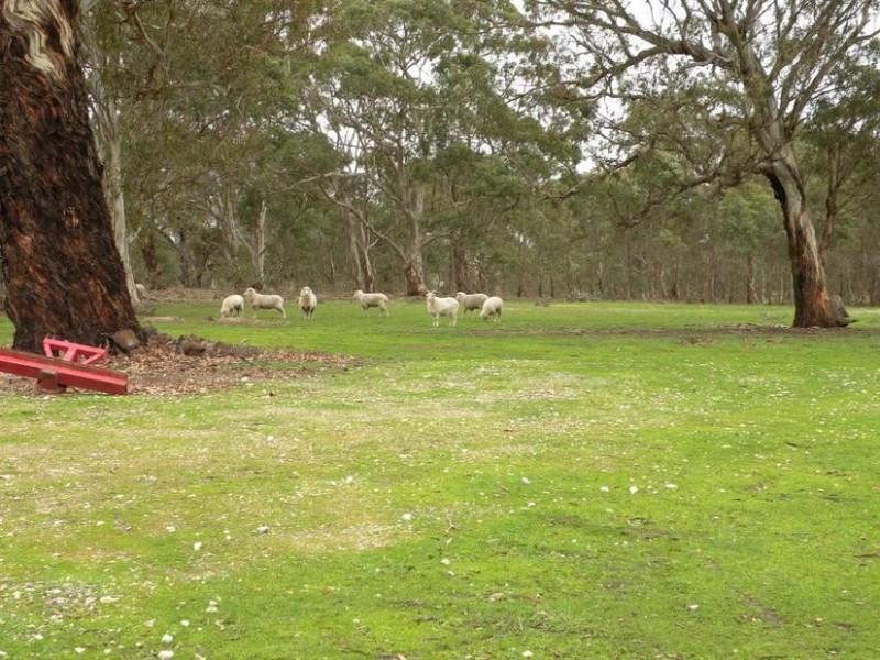 20 Mannagum Place, Anakie VIC 3221