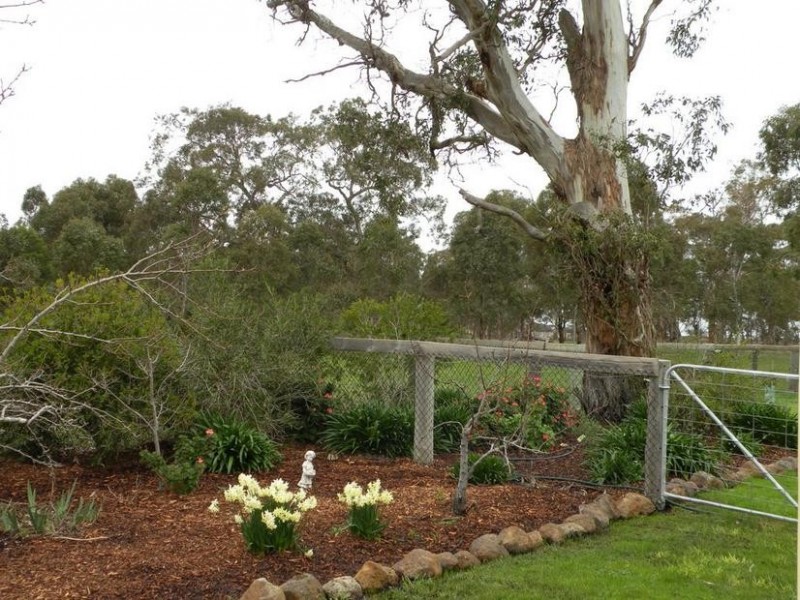 20 Mannagum Place, Anakie VIC 3221