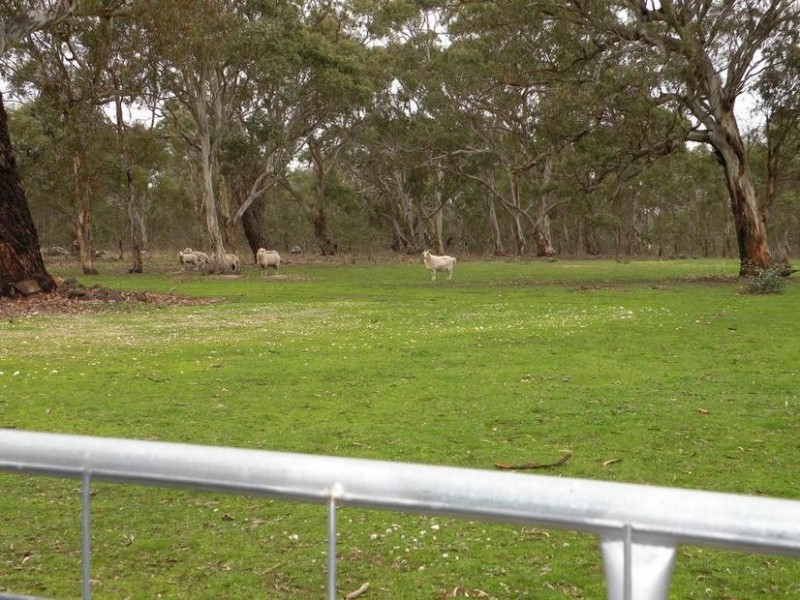20 Mannagum Place, Anakie VIC 3221