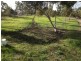 Lot 12, 12 Mouyong Road, Little River VIC 3211