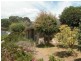 54 McClelland Ave, Lara VIC 3212