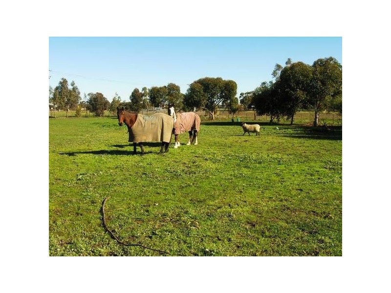 McIntyre Road, Lara VIC 3212