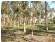 12 Mouyong Road, Little River VIC 3211