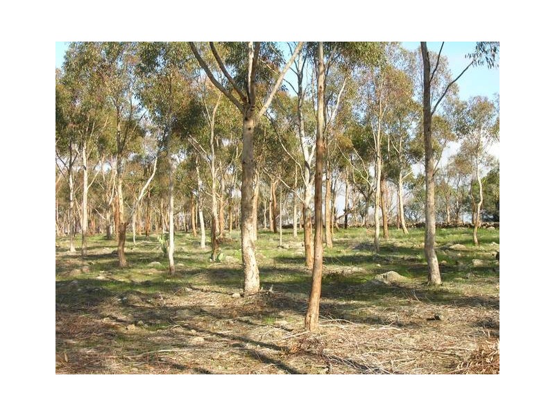 12 Mouyong Road, Little River VIC 3211