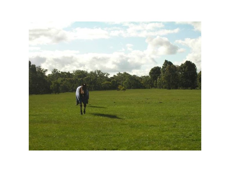 360 Clarkes Road, Anakie VIC 3221