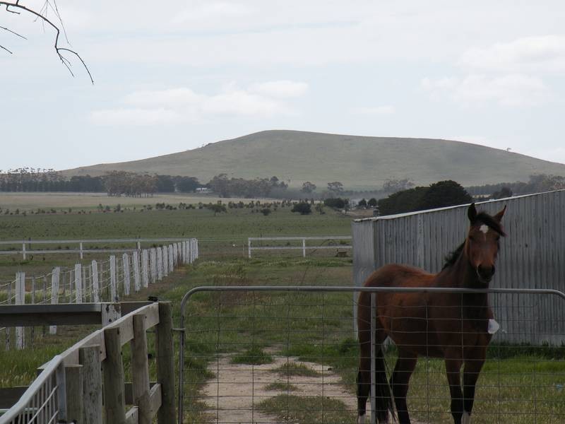 95 Darlington Drive, Anakie VIC 3221