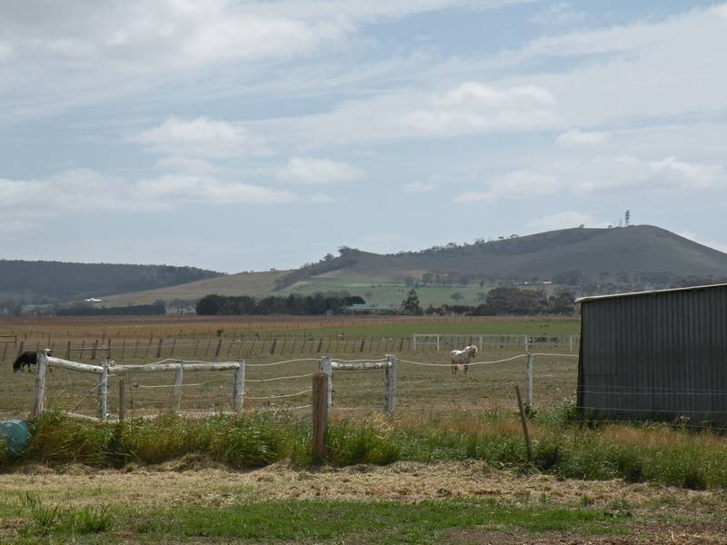 95 Darlington Drive, Anakie VIC 3221