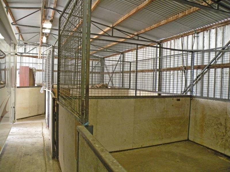 95 Darlington Drive, Anakie VIC 3221