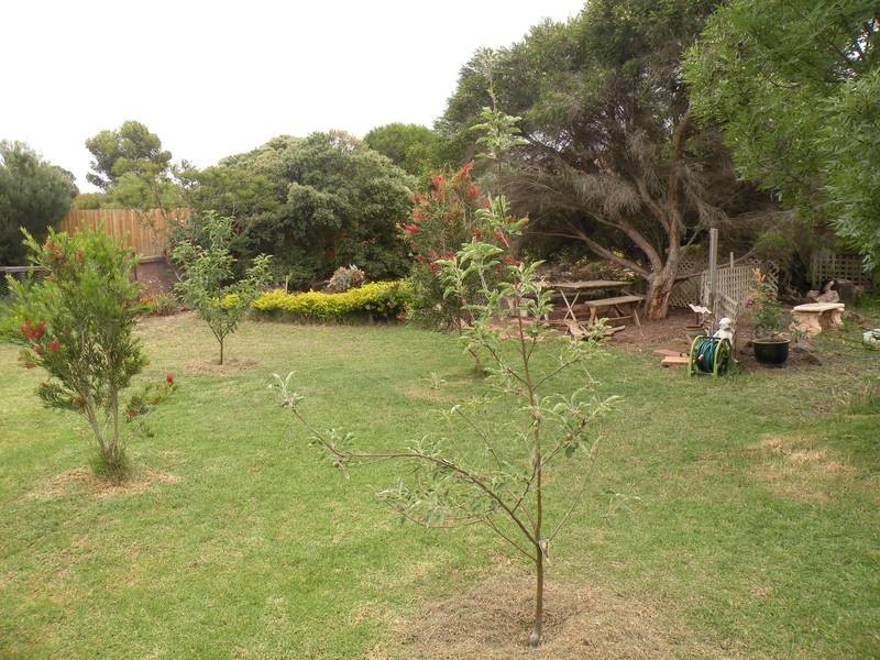 11 Haydn Street, Lara VIC 3212
