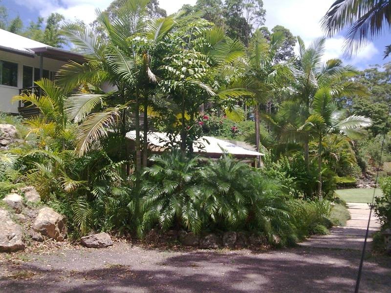 882 Cooloolabin Road, Cooloolabin QLD 4560