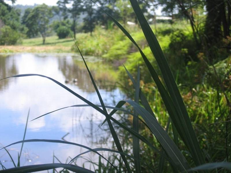 Kiels Mountain QLD 4559