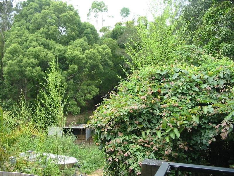 2/9a Deslynn Lane (crn Washington St), Nambour QLD 4560