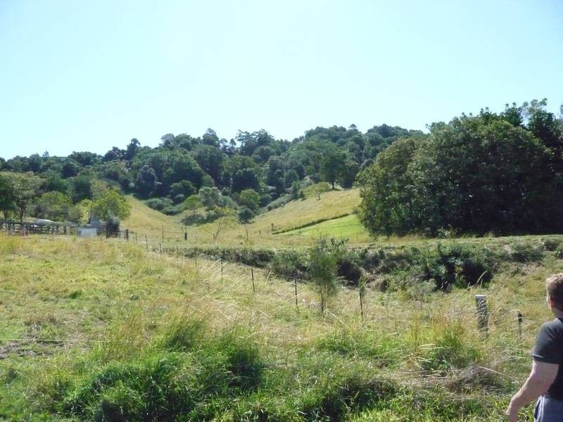 Towen Mountain QLD 4560