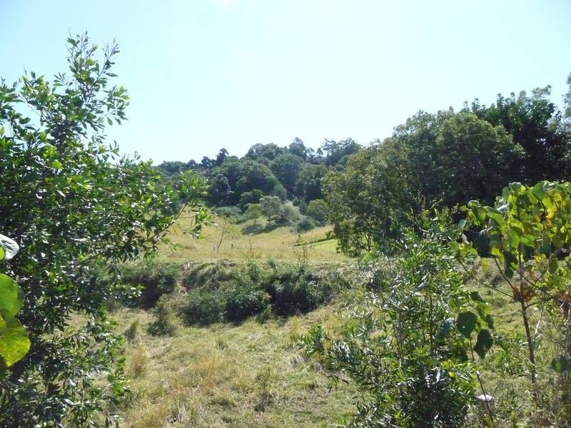 Towen Mountain QLD 4560