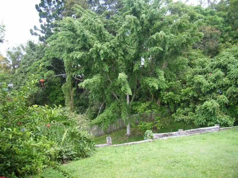 Nambour QLD 4560