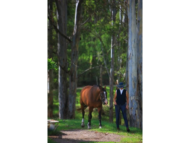 566 Valdora Road, Valdora QLD 4561