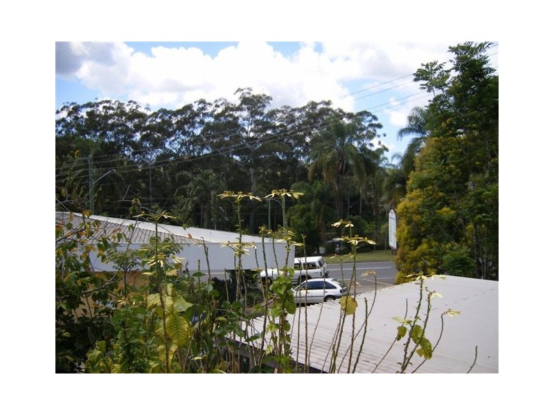 Palmwoods QLD 4555