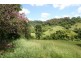 Perwillowen QLD 4560