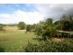 Yandina QLD 4561
