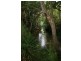 Woombye QLD 4559