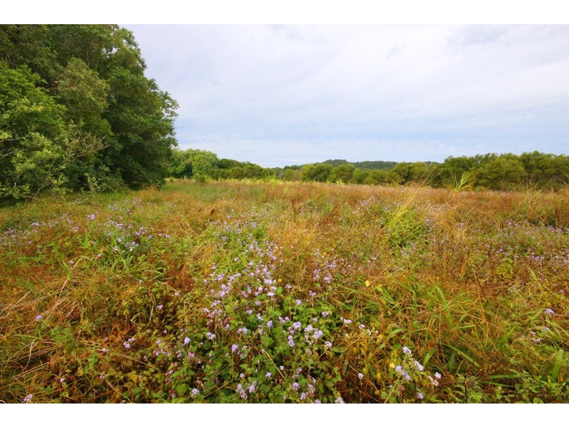 185-223 Diddillibah Road, Woombye QLD 4559