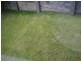 Nambour QLD 4560