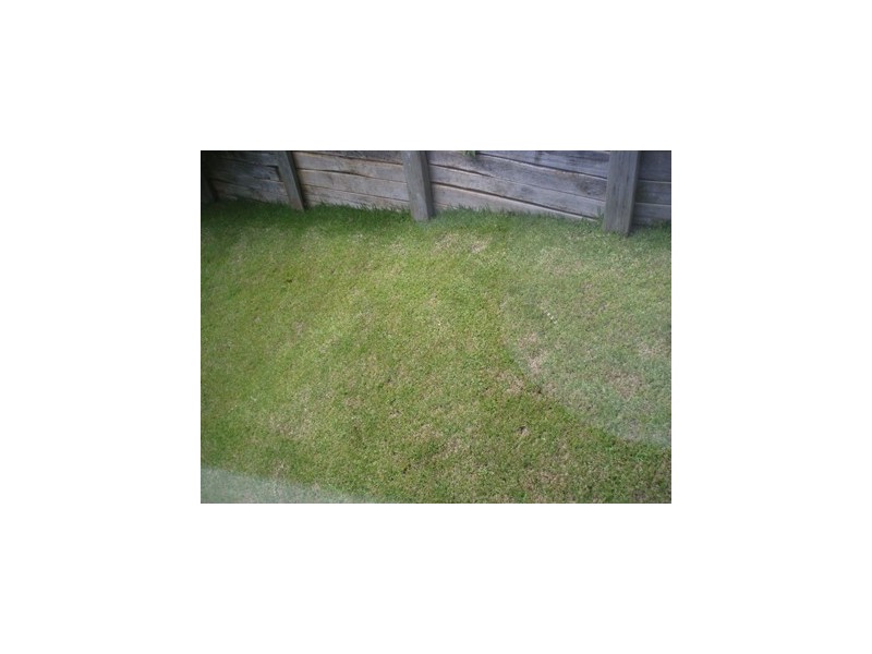 Nambour QLD 4560