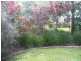 Nambour QLD 4560