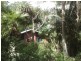 23 Churchill Street, Palmwoods QLD 4555