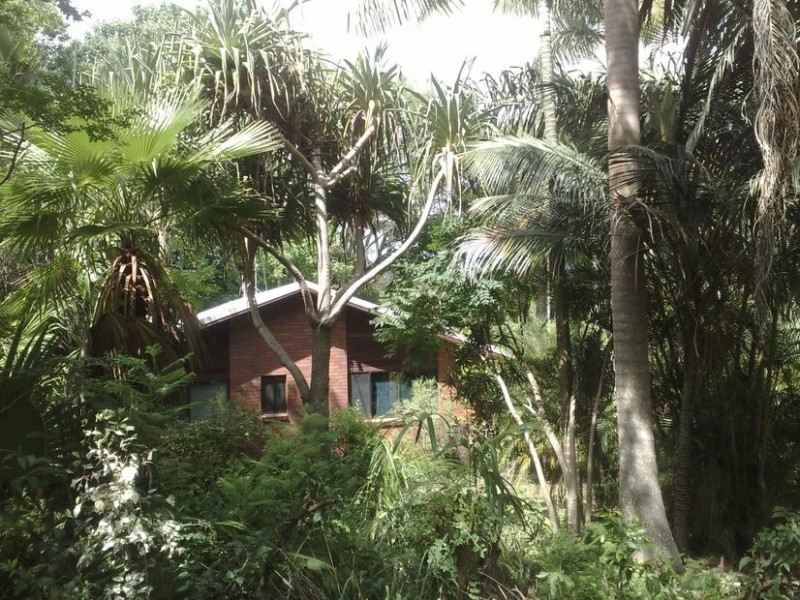 23 Churchill Street, Palmwoods QLD 4555
