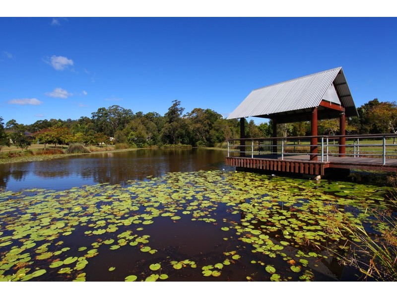 6 Red Ash Court, Palmwoods QLD 4555