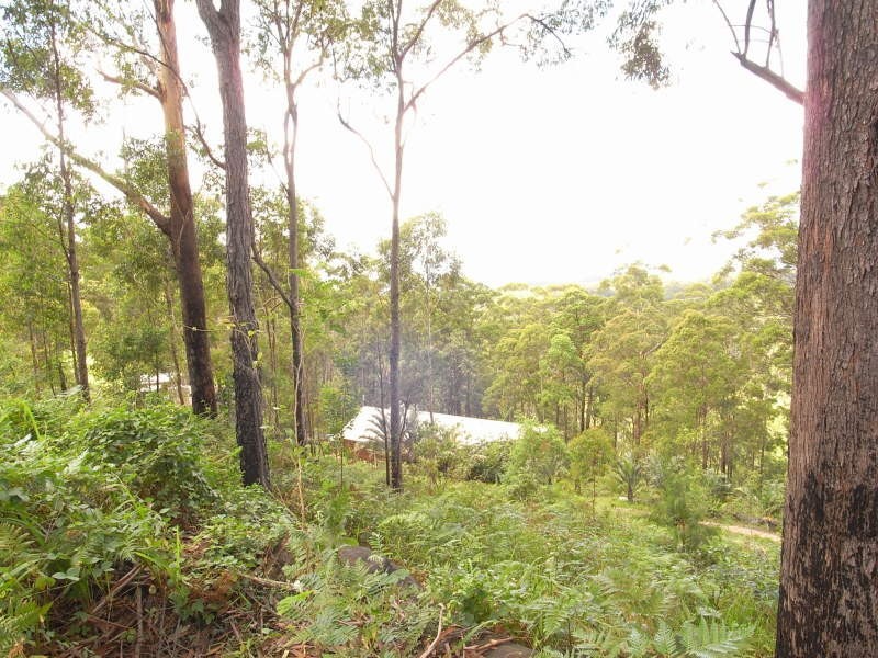 31 Kirbys Road, Palmwoods QLD 4555